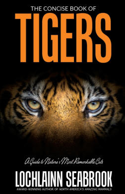 "The Concise Book of Tigers" from Sea Raven Press (paperback)